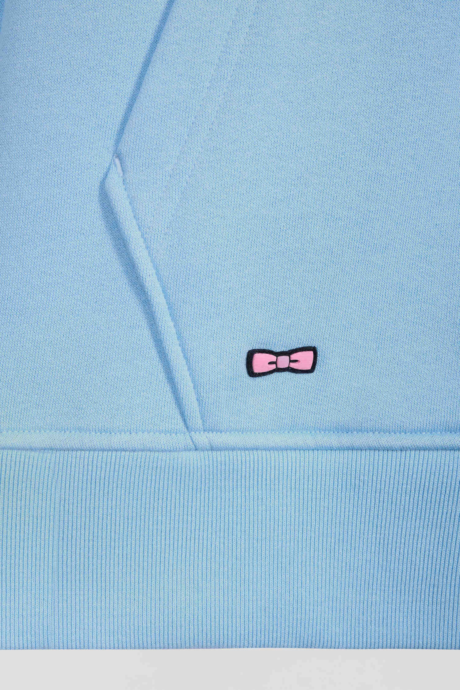 Relaxed sky blue cotton blend hoodie with padded embroidery