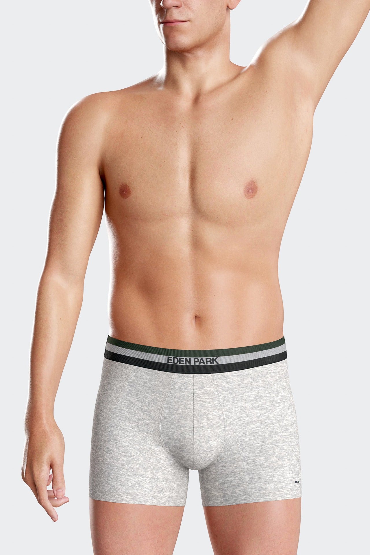 Set of 2 grey stretch cotton boxers with tricolor waistband